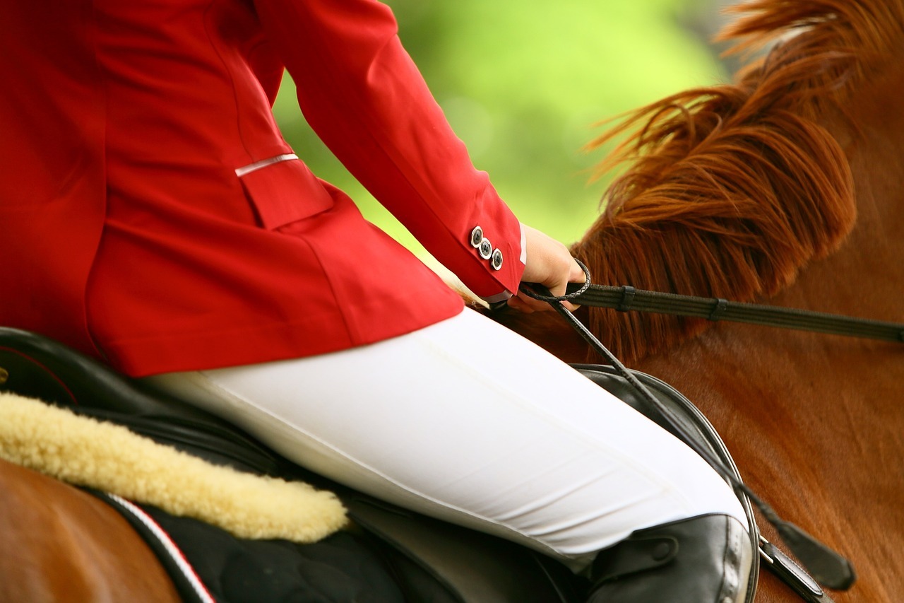 horse, rider, equestrian-3165771.jpg